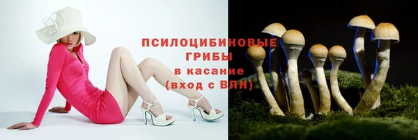 крисы Вязьма