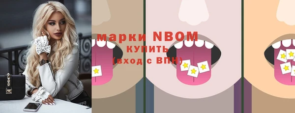 крисы Вязьма