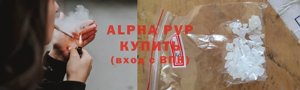 крисы Вязьма