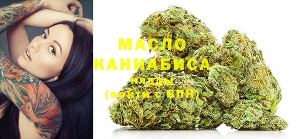 крисы Вязьма