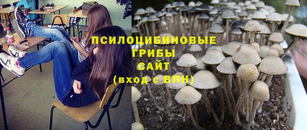 крисы Вязники