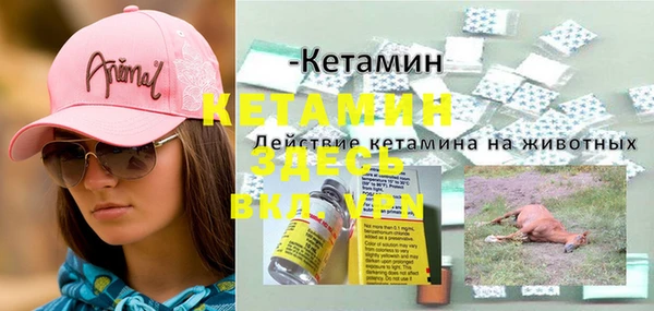 крисы Вязники