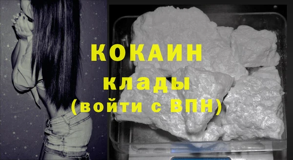 крисы Вязьма