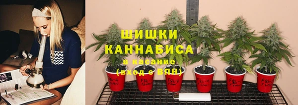 каннабис Вяземский